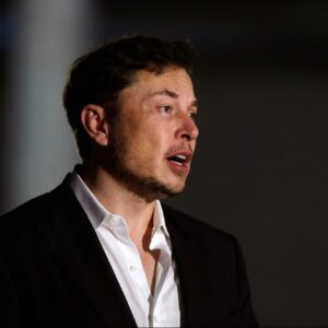 according to elon musk man will reach mars in the year 2029