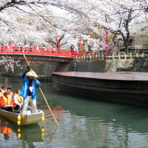 discover the beauty of japan in the spring