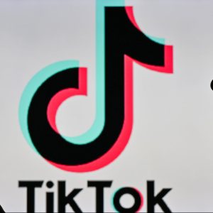 looking for new ecommerce customers tiktok might be the best place to start