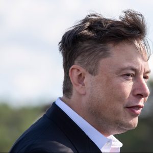 elon musk has reportedly and quietly welcomed twins