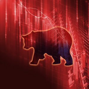 how to find and determine which stocks are worth holding through a bear market