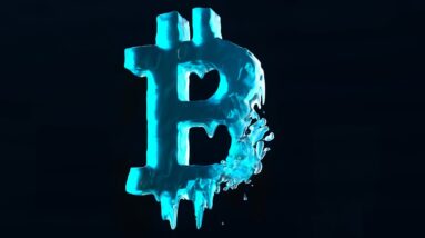 bear with me 3 ways to capitalize during the crypto winter