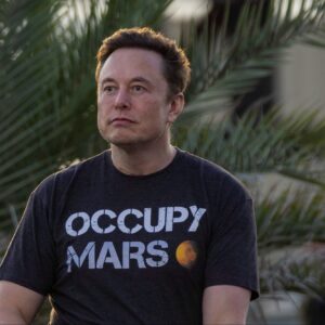 elon musk rips into senator on twitter your real account sounds like a parody