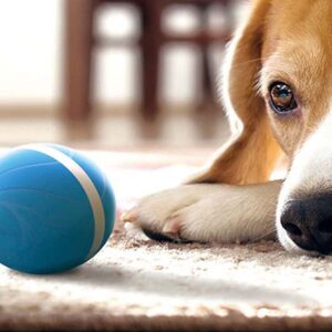 this smart dog toy is 10 off now