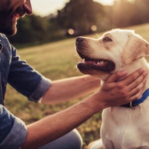 4 marketing strategies pet care companies must implement to see growth