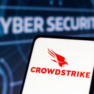 crowdstrike selloff its time for investors to strike