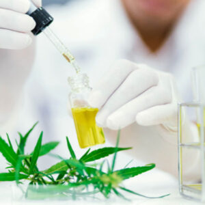 how to use cbd oil uses health benefits safety