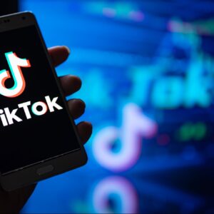 tiktoks new tool will expose information about its algorithm