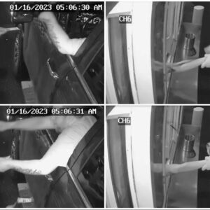 bikini barista describes the moment a would be kidnapper tried to drag her through a drive thru window