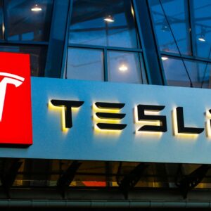 will china be the ultimate downfall for tesla tsla