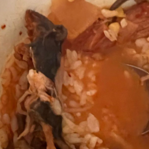 the most disgusting thing woman allegedly finds a rat floating in her soup