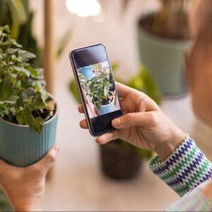 gain encyclopedic knowledge of the plants around you with this app now 40 off