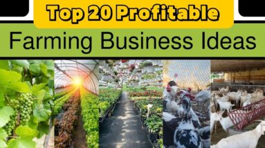 Top 20 Best Profitable Farming Business Ideas
