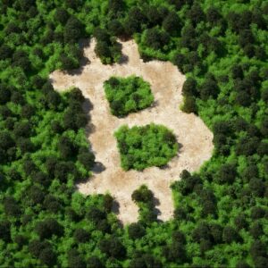 can crypto go green examining the environmental implications of cryptocurrencies