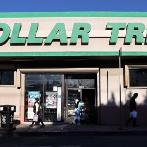 dollar tree ceo says elevated theft is affecting profit margins