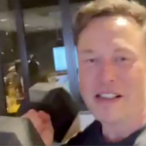 elon musk randomly goes live in the middle of the night to post video of him lifting weights
