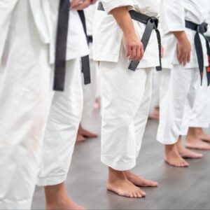 what entrepreneurs can learn from the hidden parallels between japanese martial arts and customer interaction